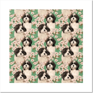 Tibetan terrier cherry blossom green Posters and Art